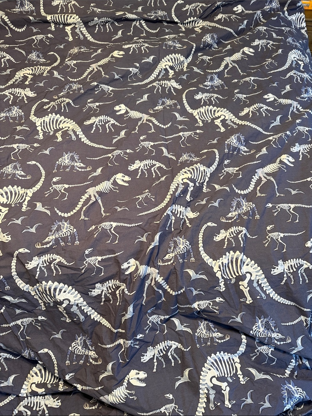 Pottery Barn Navy with White Dinosaur Skeleton Print Twin Duvet Cover